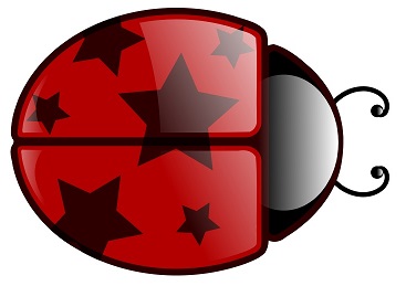 Ladybug Ladybug